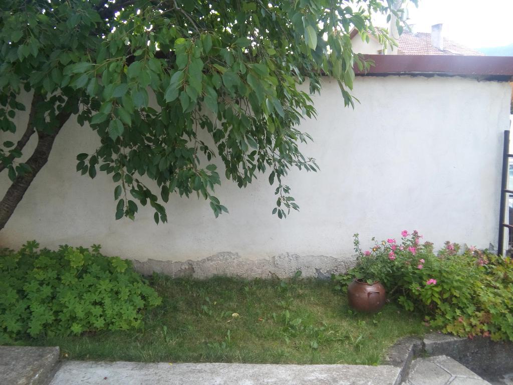 Guest House Ahp Mala Tsŭrkva Exteriér fotografie